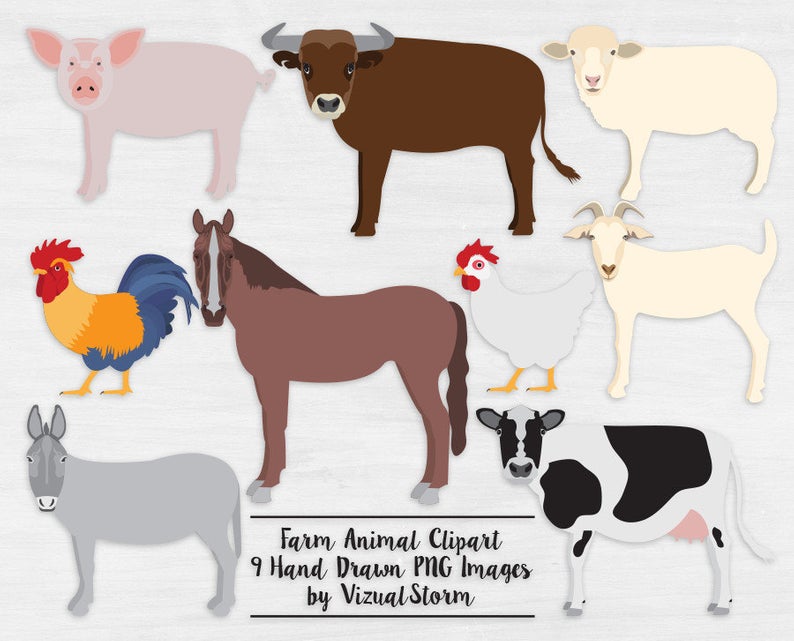 Farm Animal Clipart Png Barn Animals Cow Bull Rooster Chicken Horse Pig  Sheep Goat Digital Barnyard Scrapbooking Clip Art.