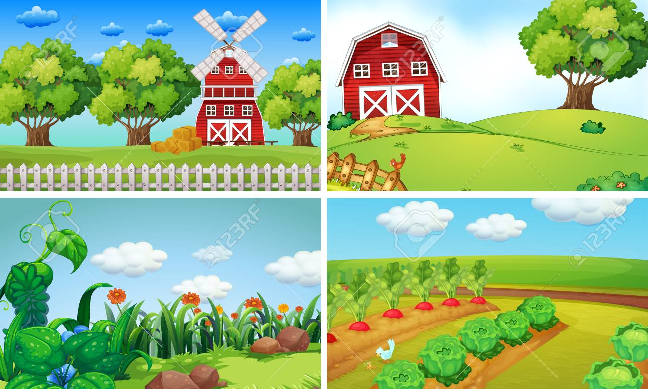 Background scenes with vegetables on the farm illustration.