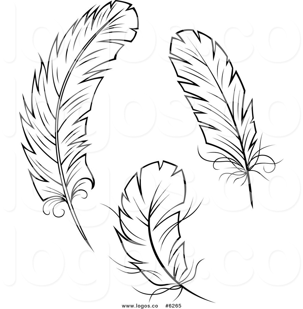 Free Feather Clip Art Pictures.