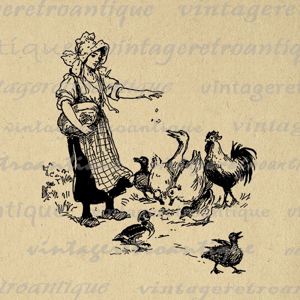 Digital Image Girl Feeding Ducks Graphic Birds Download Old.