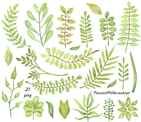 Watercolor leaves clipart watercolour clip by PassionPNGcreation.