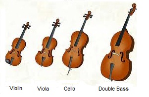 String Instruments.