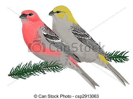 Finches Illustrations and Clip Art. 479 Finches royalty free.