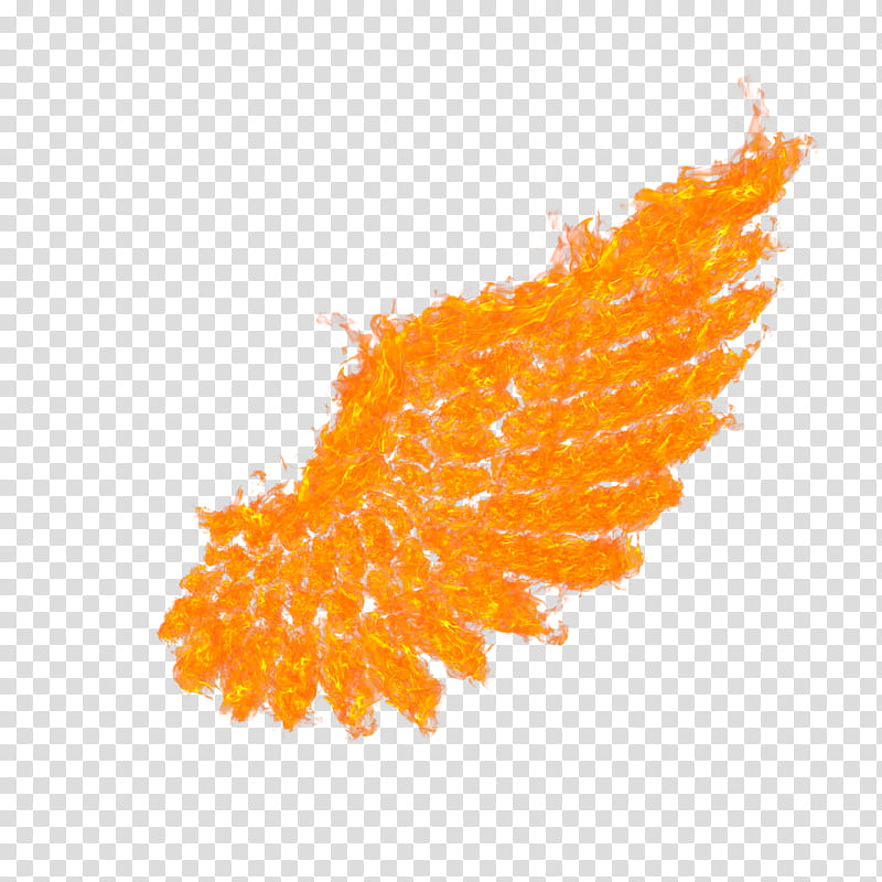 Fire Wings transparent background PNG clipart.