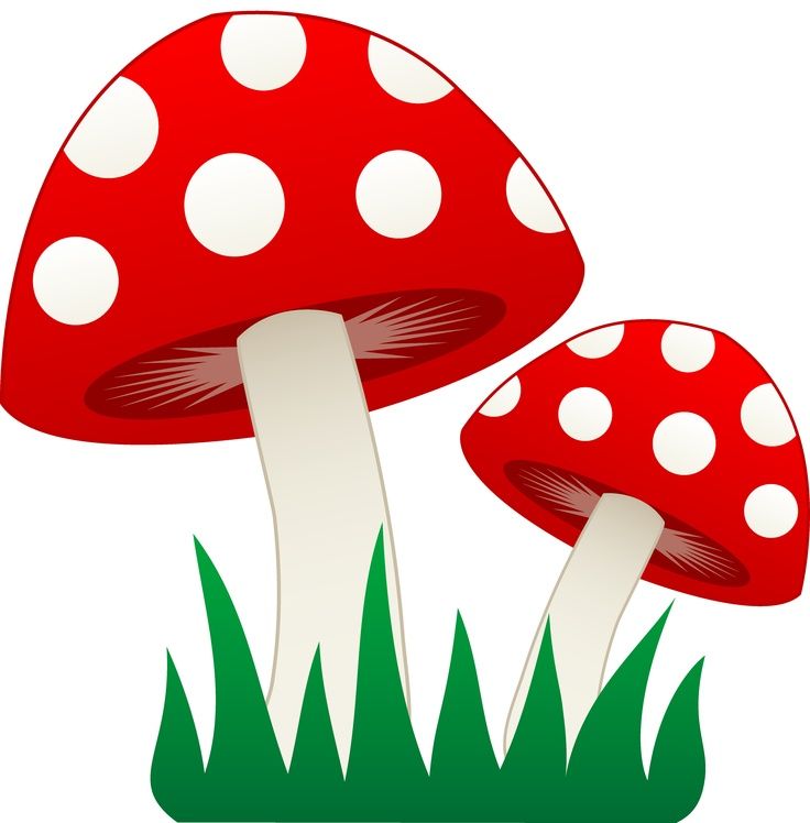 17 Best ideas about Mushroom Clipart on Pinterest.