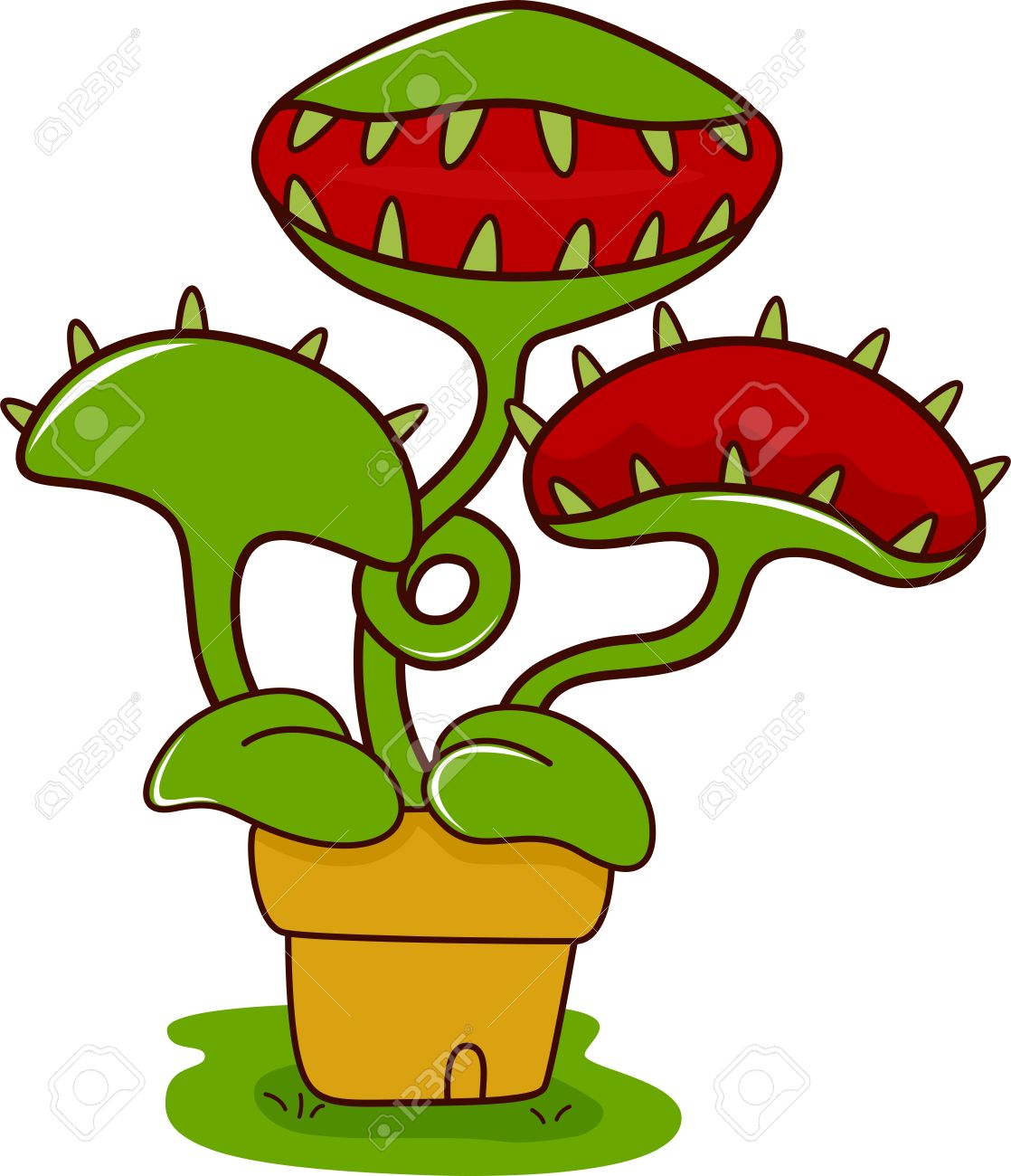 Illustration Of A Venus Flytrap With Its Mouth Wide Open Stock.