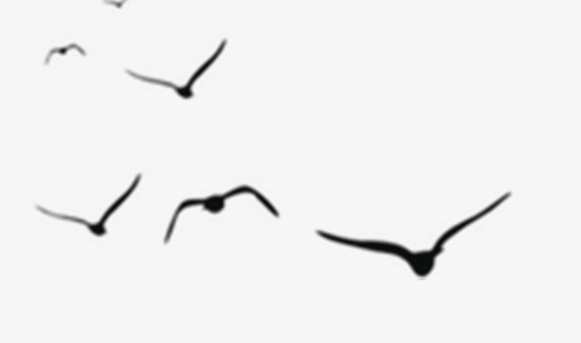 Simple Bird Vector at GetDrawings.com.