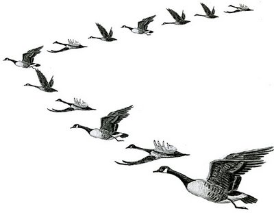 Free clip art geese in formation.