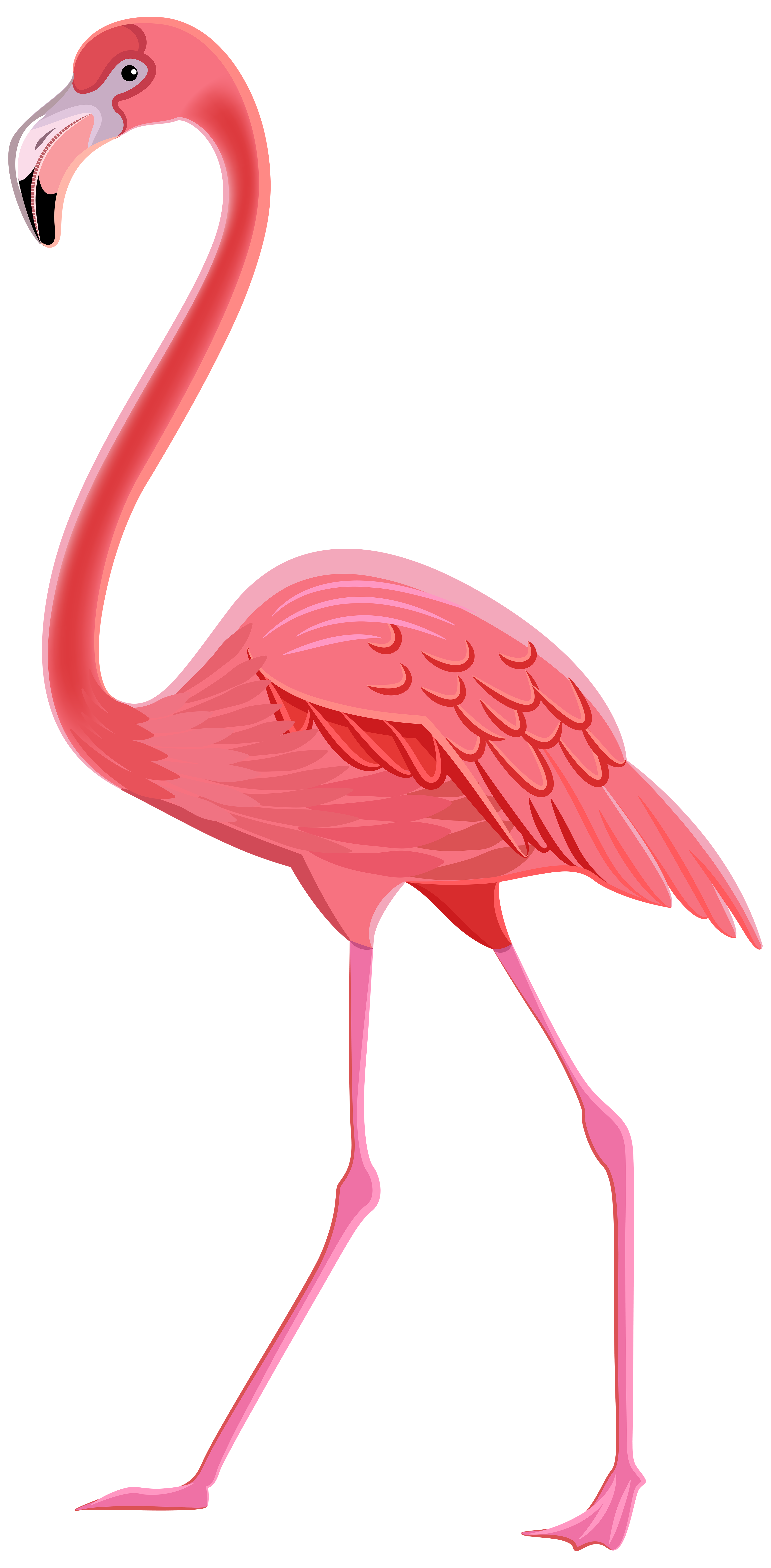 Flamingo clip art free 2.