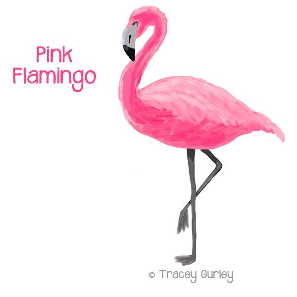 Flamingo clipart.