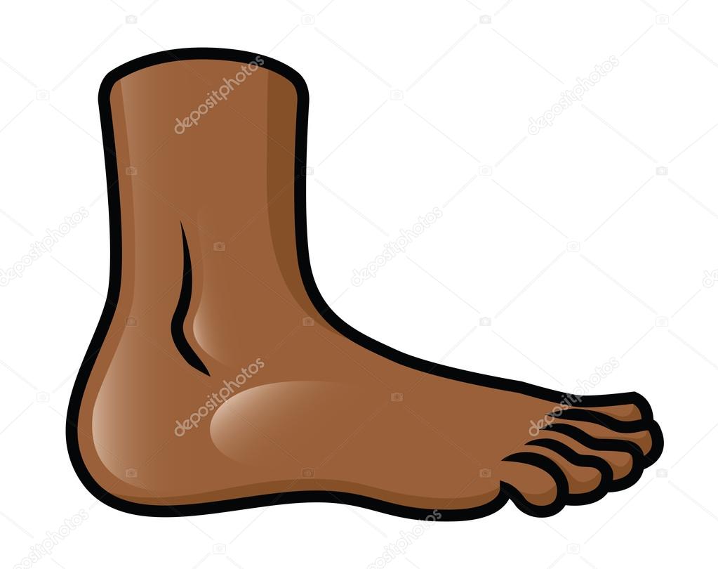 Flat Foot — Stock Vector © AvelKrieg #24797999.