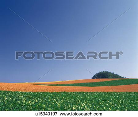 Picture of a Huge Flat Land With a Small Hill Visual at the End.