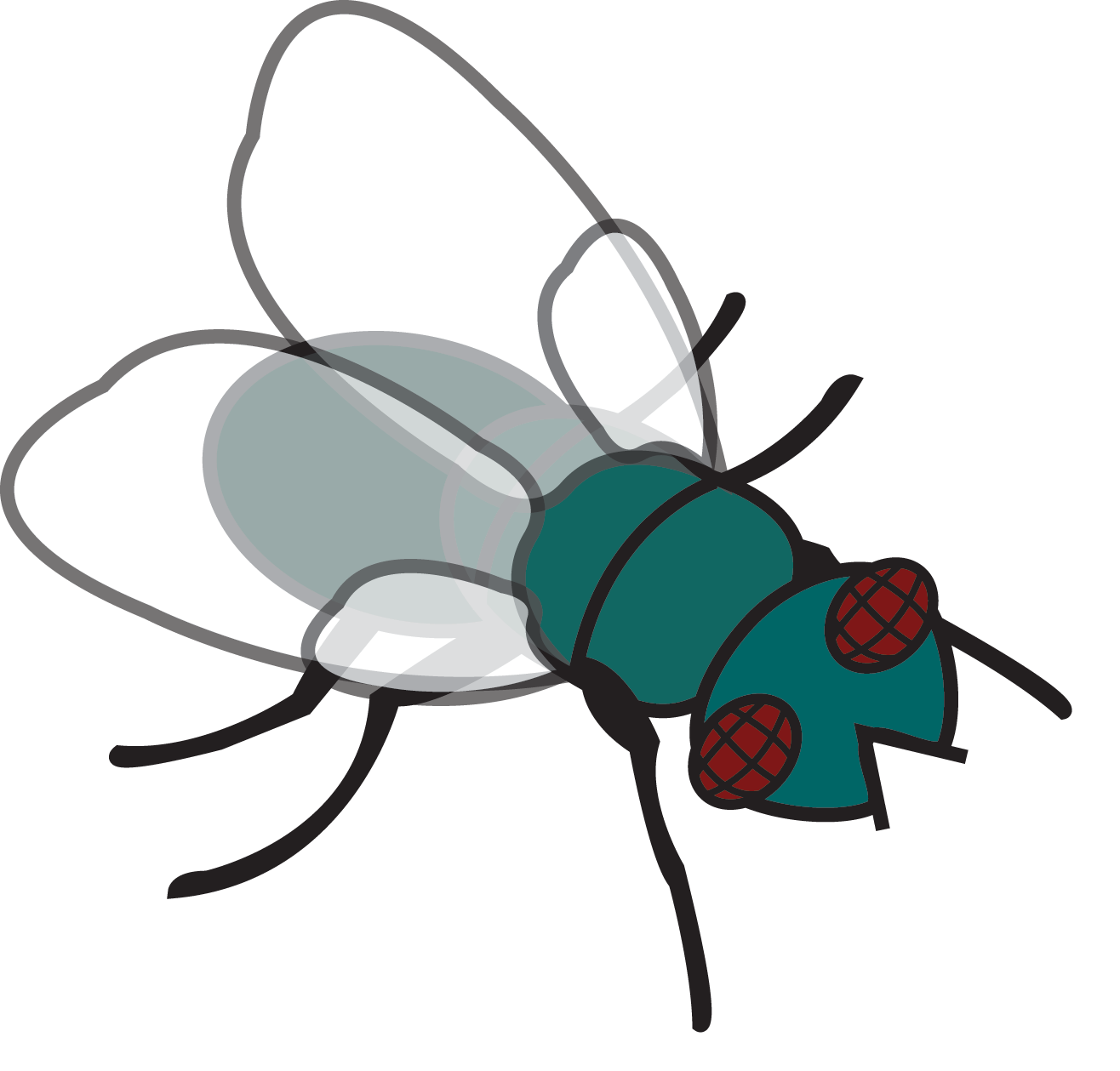 Fly Clip Art & Fly Clip Art Clip Art Images.