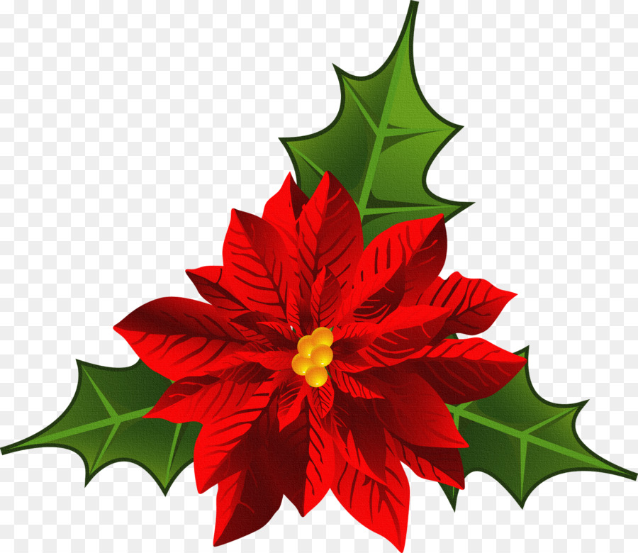 Christmas Poinsettia Clipart clipart.