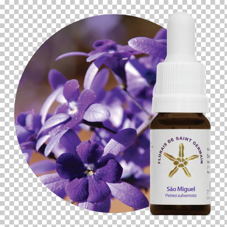 Bach flower remedies Therapy Homeopathy Florais de Saint.