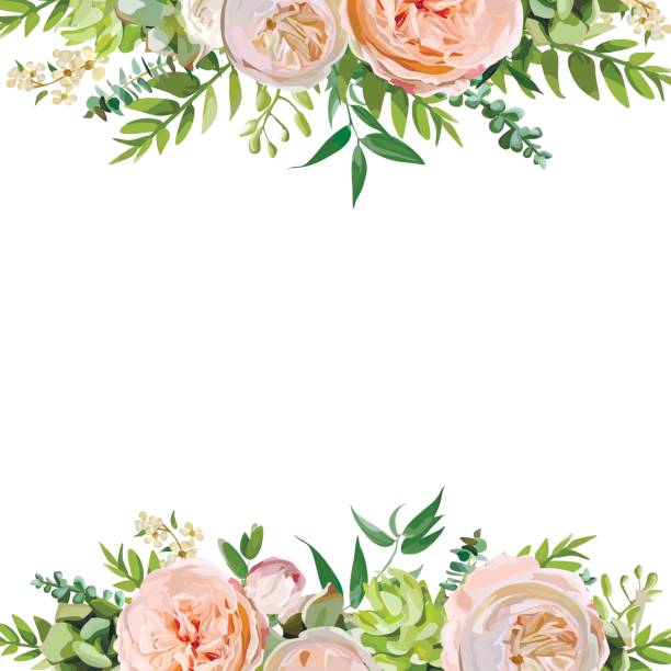 Best Floral Border Illustrations, Royalty.