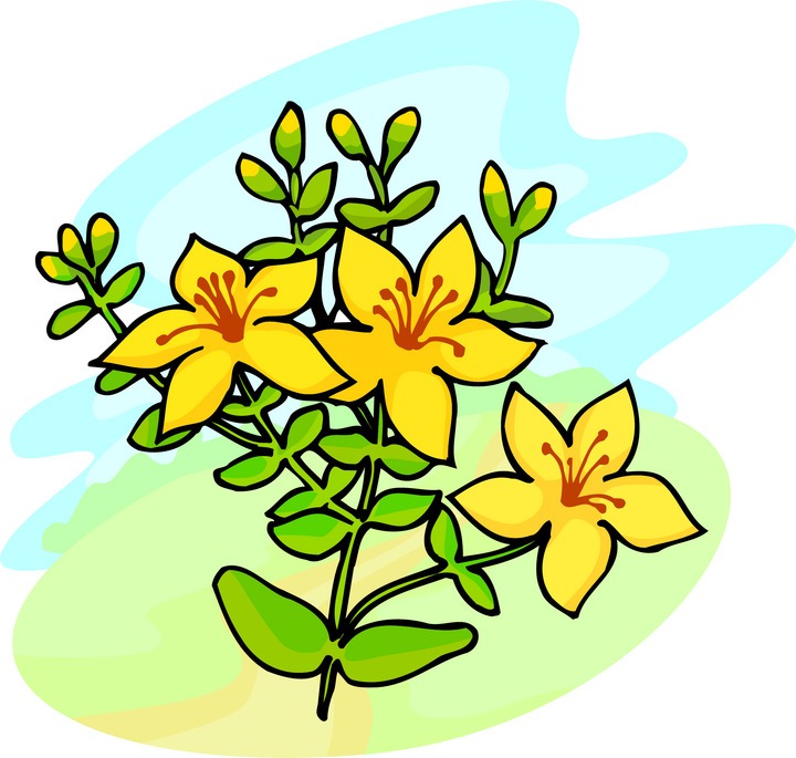 Yellow bell flower clipart.