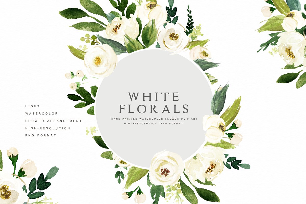 Watercolor White Flower Clip Art ~ Illustrations ~ Creative Market.