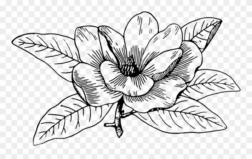 Flower Line Art 28, Buy Clip Art.