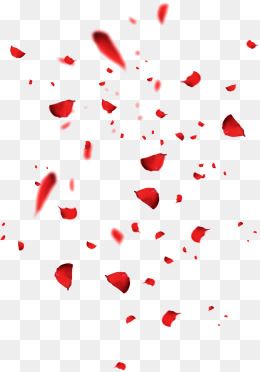 Red Petals, Rose Petal, Falling Petals, Scattered Petals PNG.