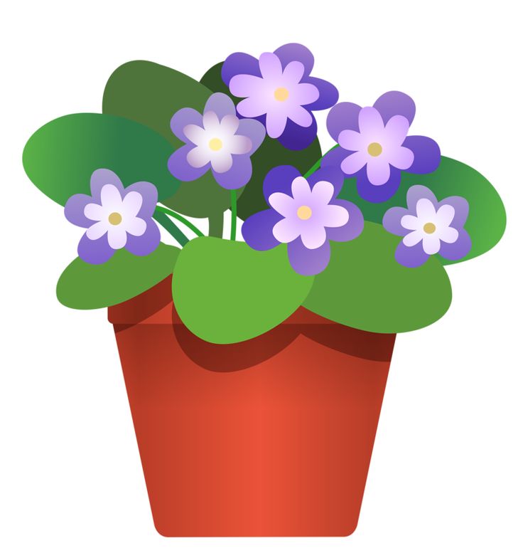 Flower pot clipart no background.