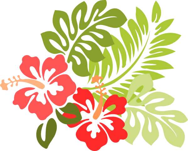 http://www.clker.com/cliparts/Q/V/y/x/V/G/hibiscus.