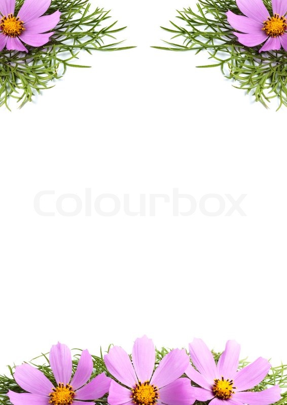 Similiar Flowers Without Background Keywords.