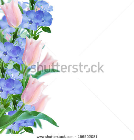 Flower Border Stock Images, Royalty.