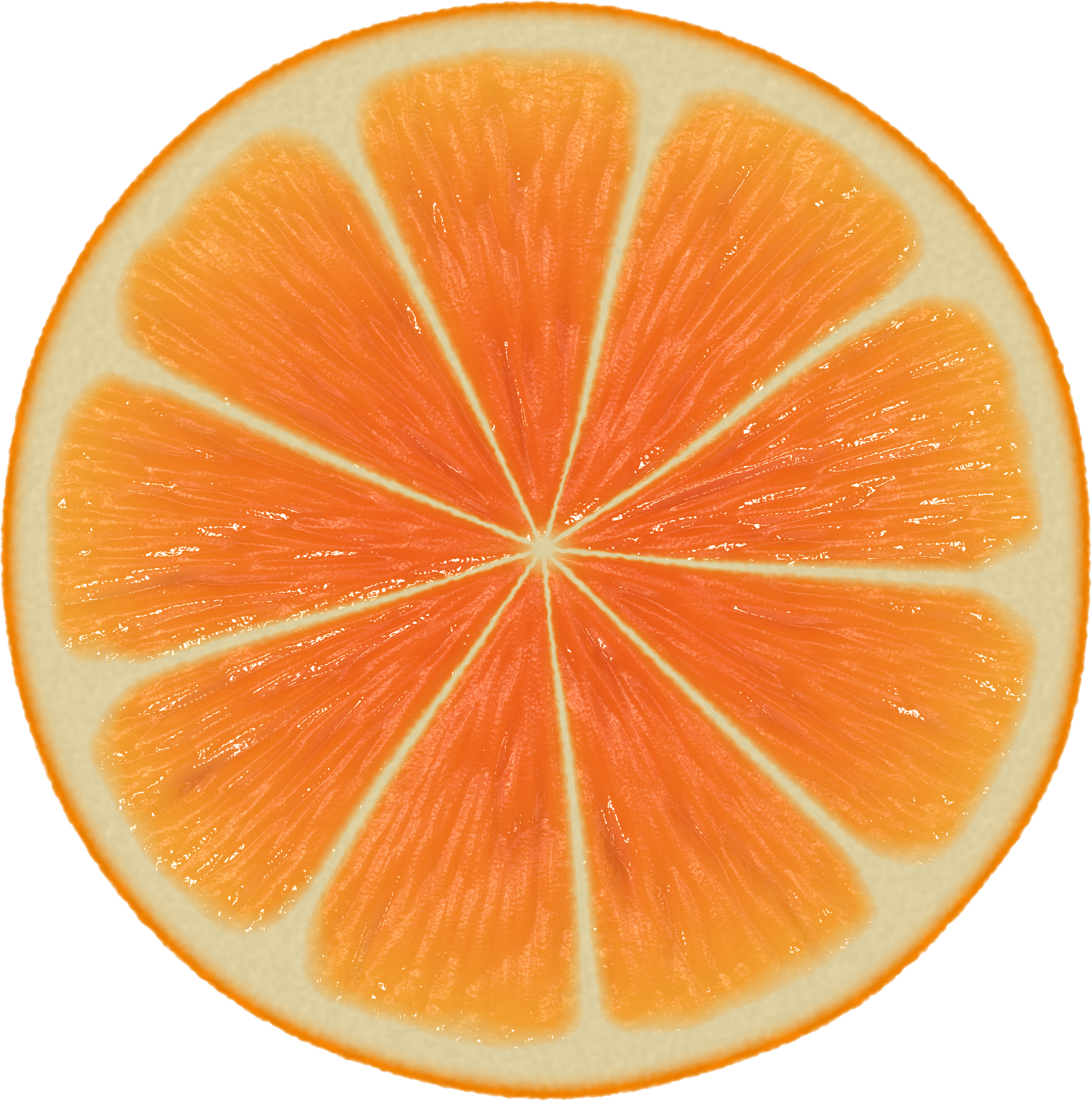 Large Orange Slice transparent PNG.