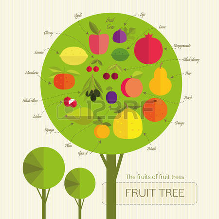 70,066 Fruit Tree Cliparts, Stock Vector And Royalty Free Fruit.