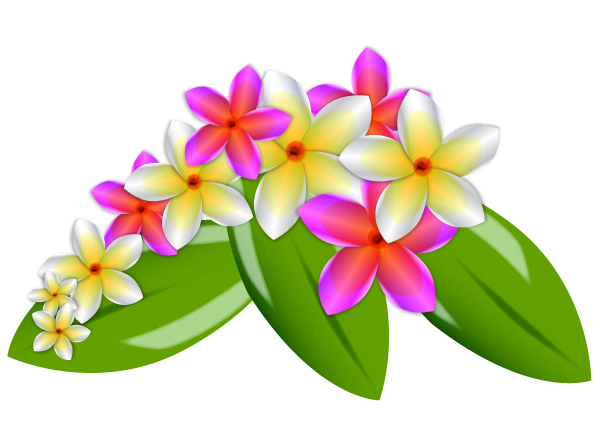 Frangipani Clipart.