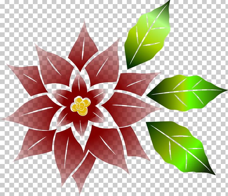 Poinsettia Flower Christmas PNG, Clipart, Christmas, Christmas.