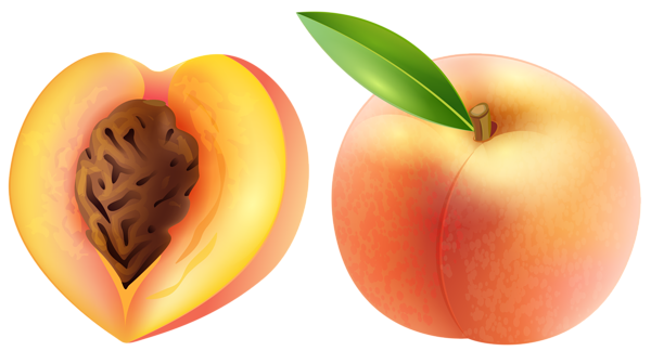 Free Peach Cliparts, Download Free Clip Art, Free Clip Art.