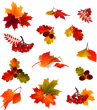 Clipart autumn leaves free vector download (6,551 Free vector) for.