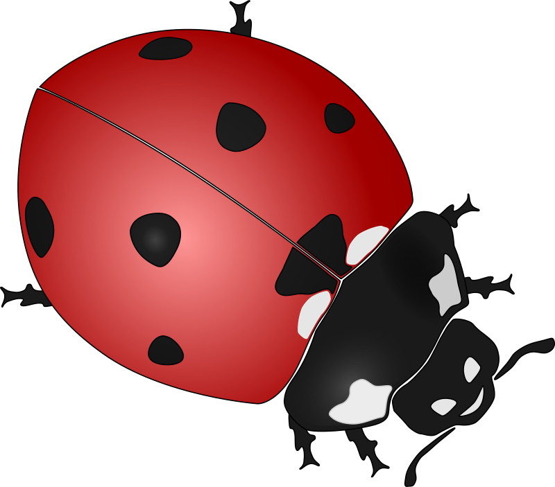 Free Clipart: Ladybug.