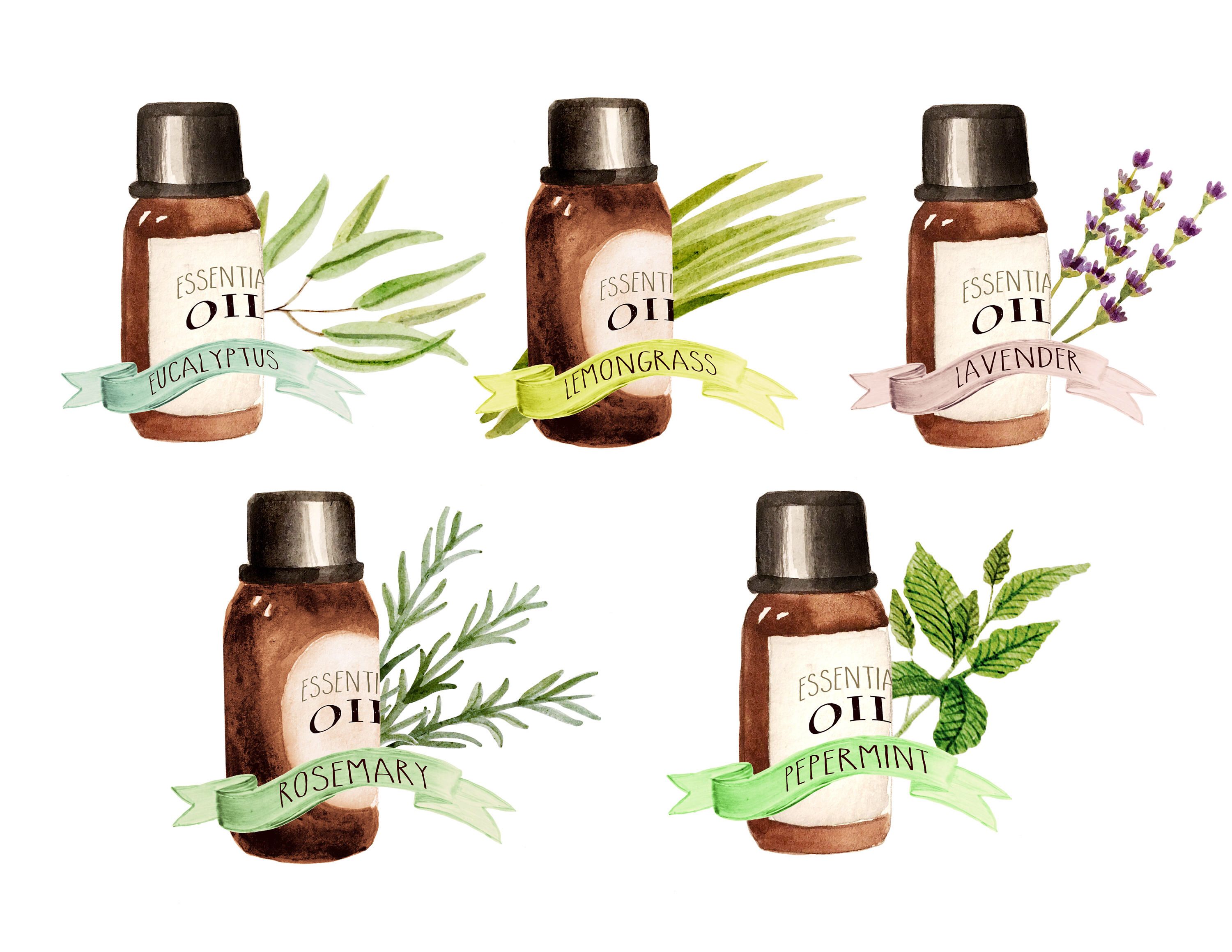 Free Essential Oils Cliparts, Download Free Clip Art, Free Clip Art.