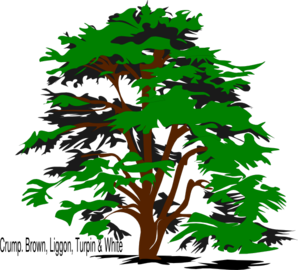 Tree, Family Reunion Clip Art at Clker.com.