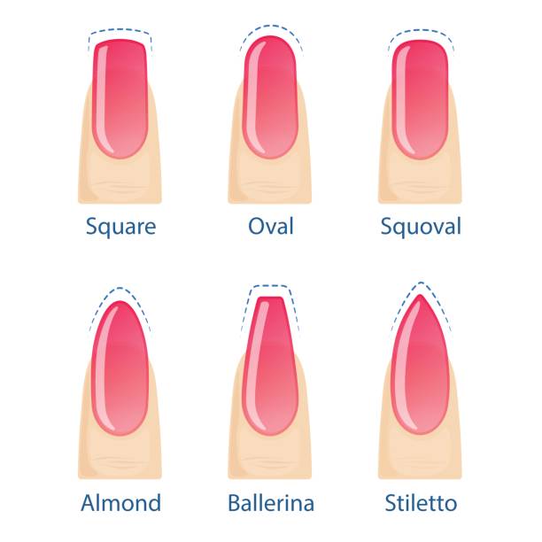 Best Fingernail Illustrations, Royalty.