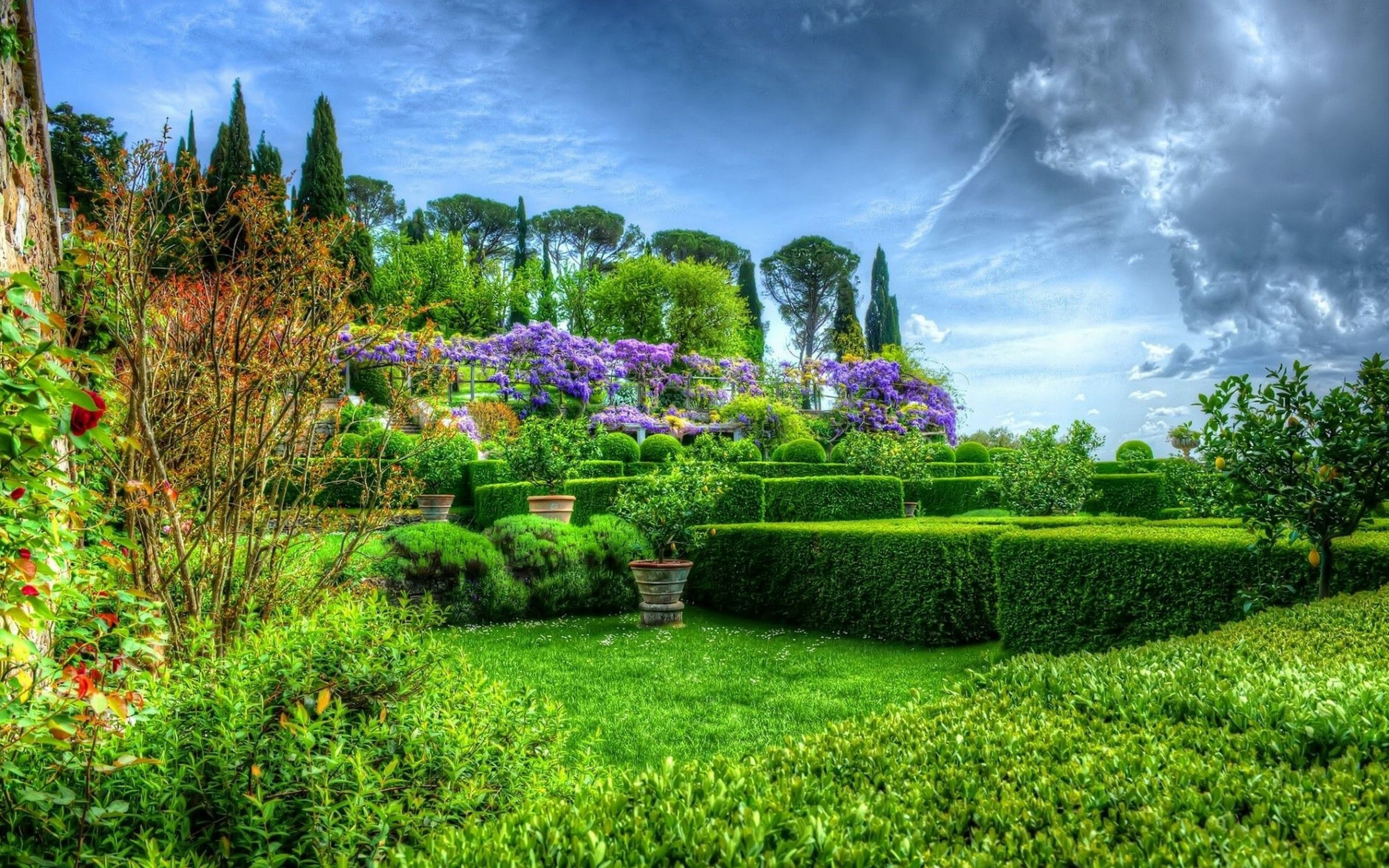 Garden Backgrounds Free Download.