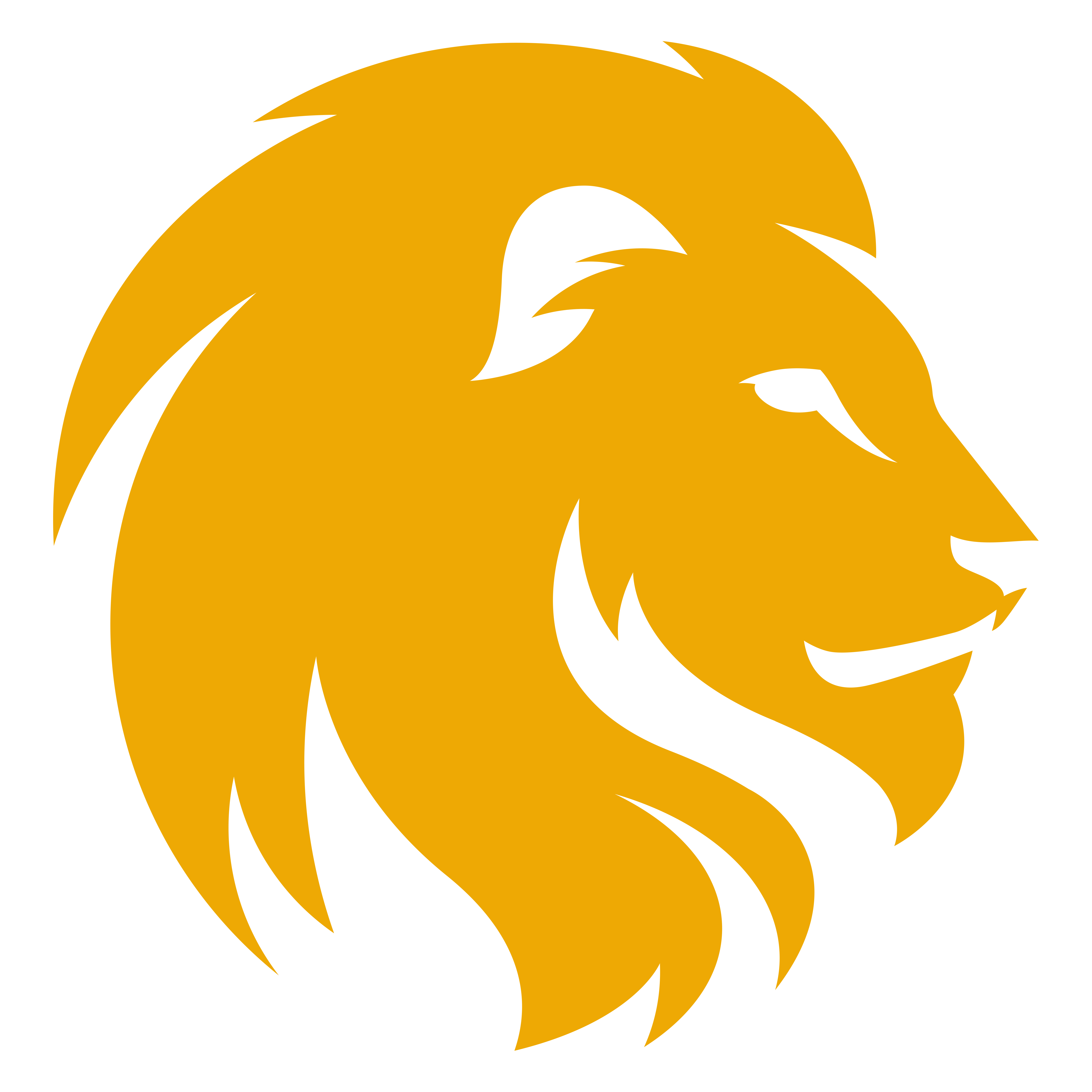 Lion PNG Images Transparent Free Download.