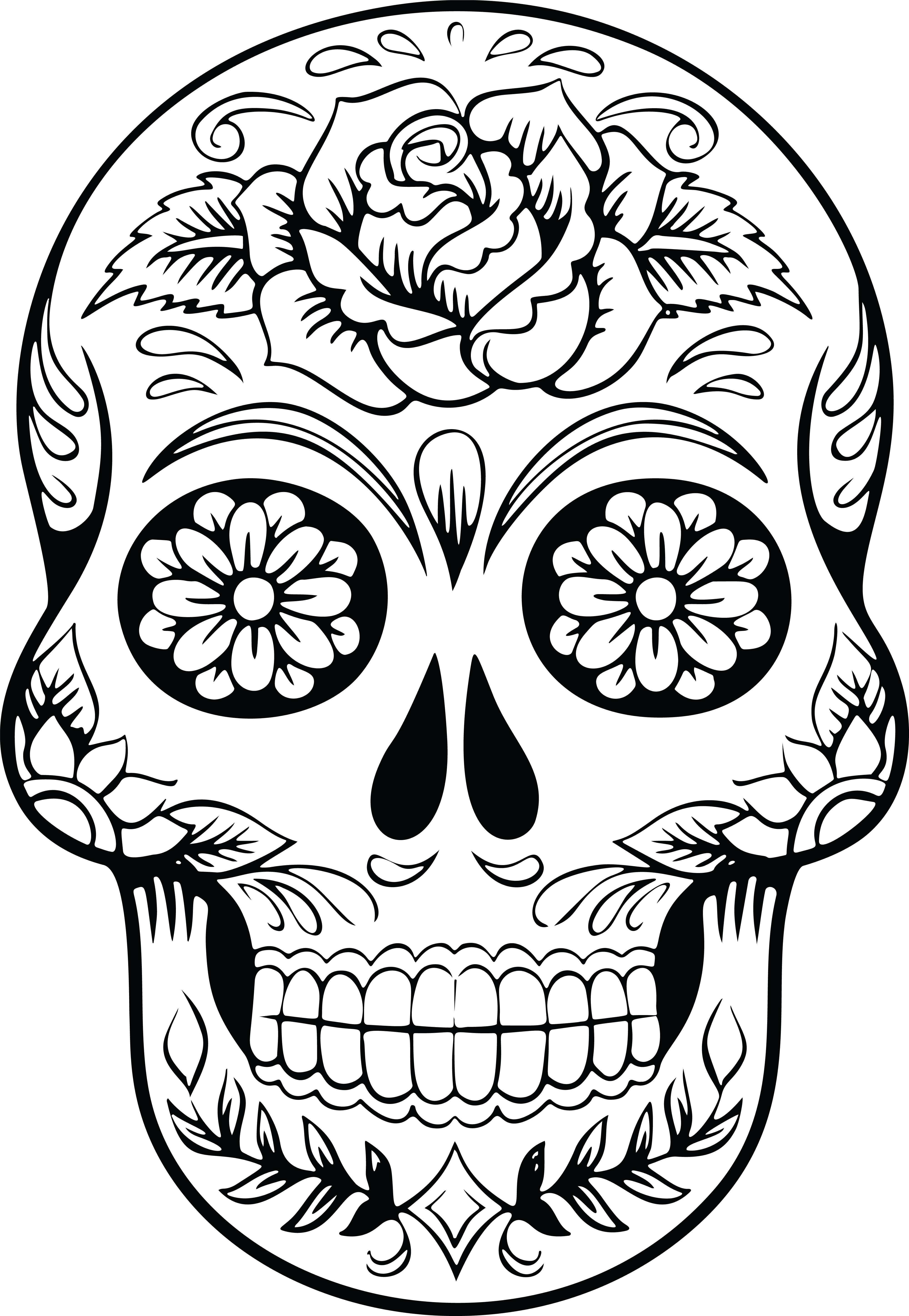 Free Skull Clipart Images.