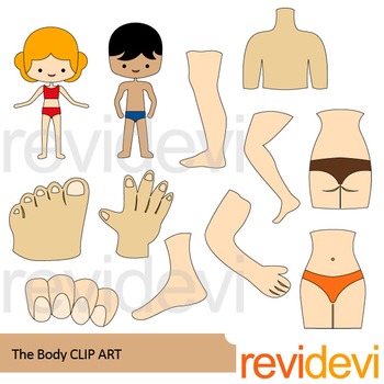 The body clip art.