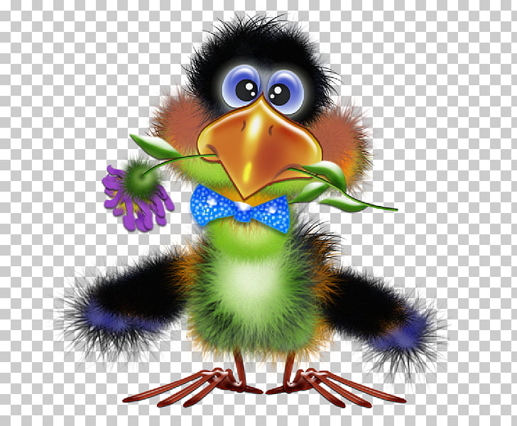 Bird Drawing Funny animal , toucan PNG clipart.