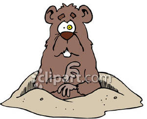 Funny Cartoon Groundhog.