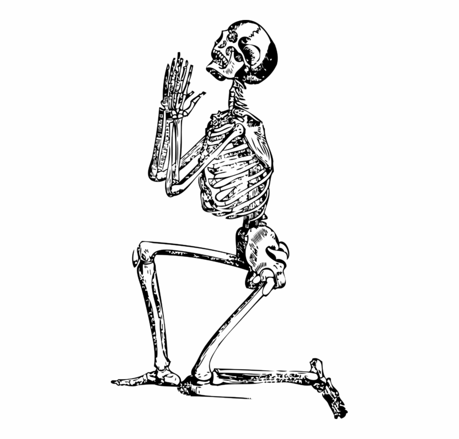 Funny Skeleton Png, Transparent PNG, png collections at dlf.pt.