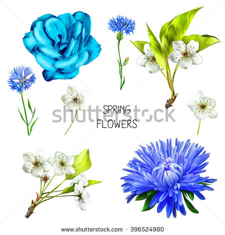 Knapweed Stock Images, Royalty.