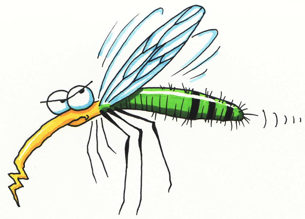 Gnat 20clipart.