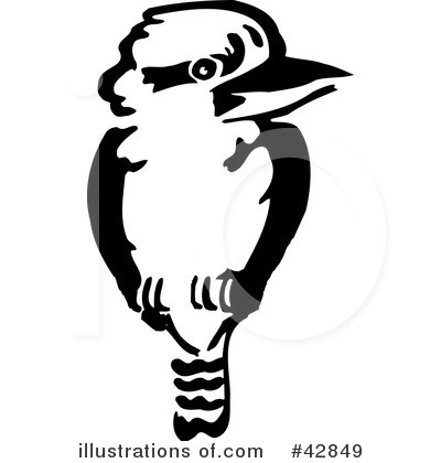 Kookaburra Clipart #42849.