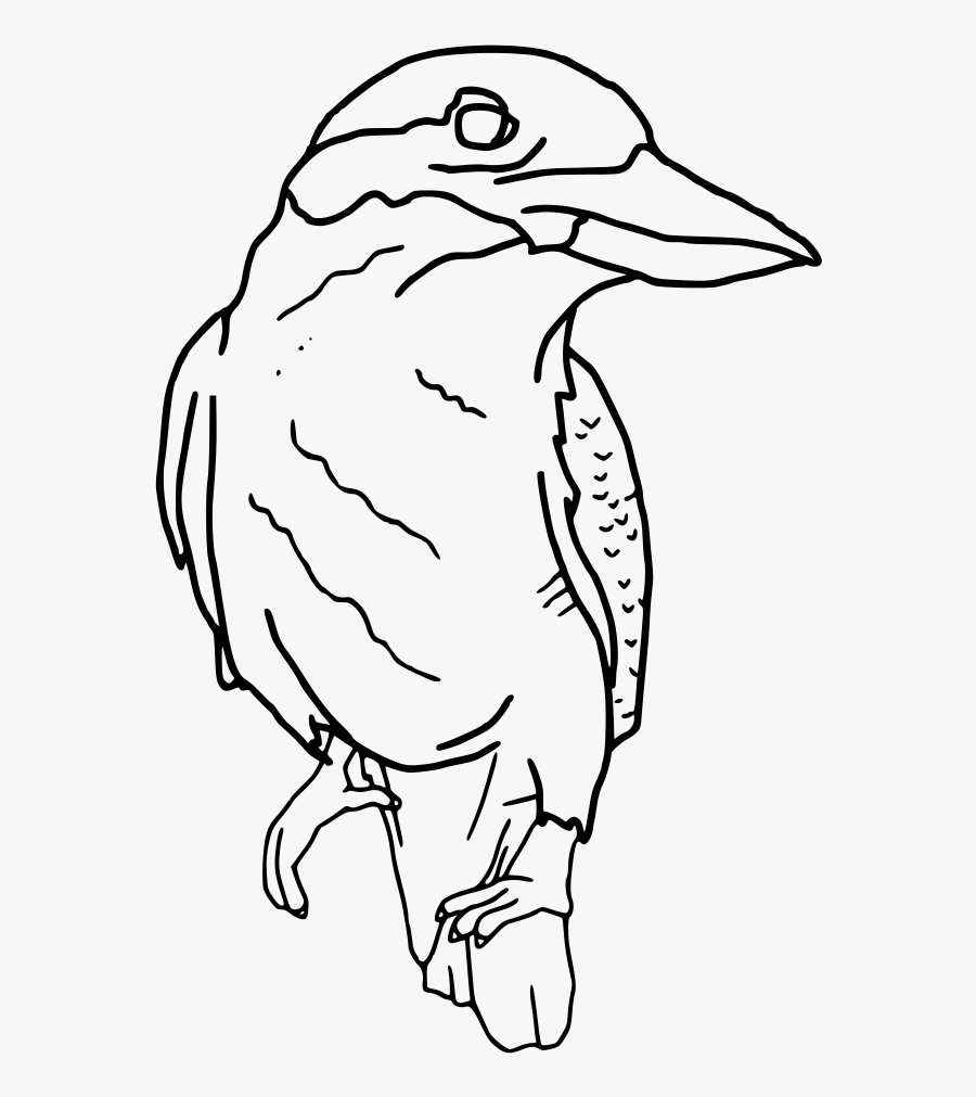 Kookaburra Perched Outline.