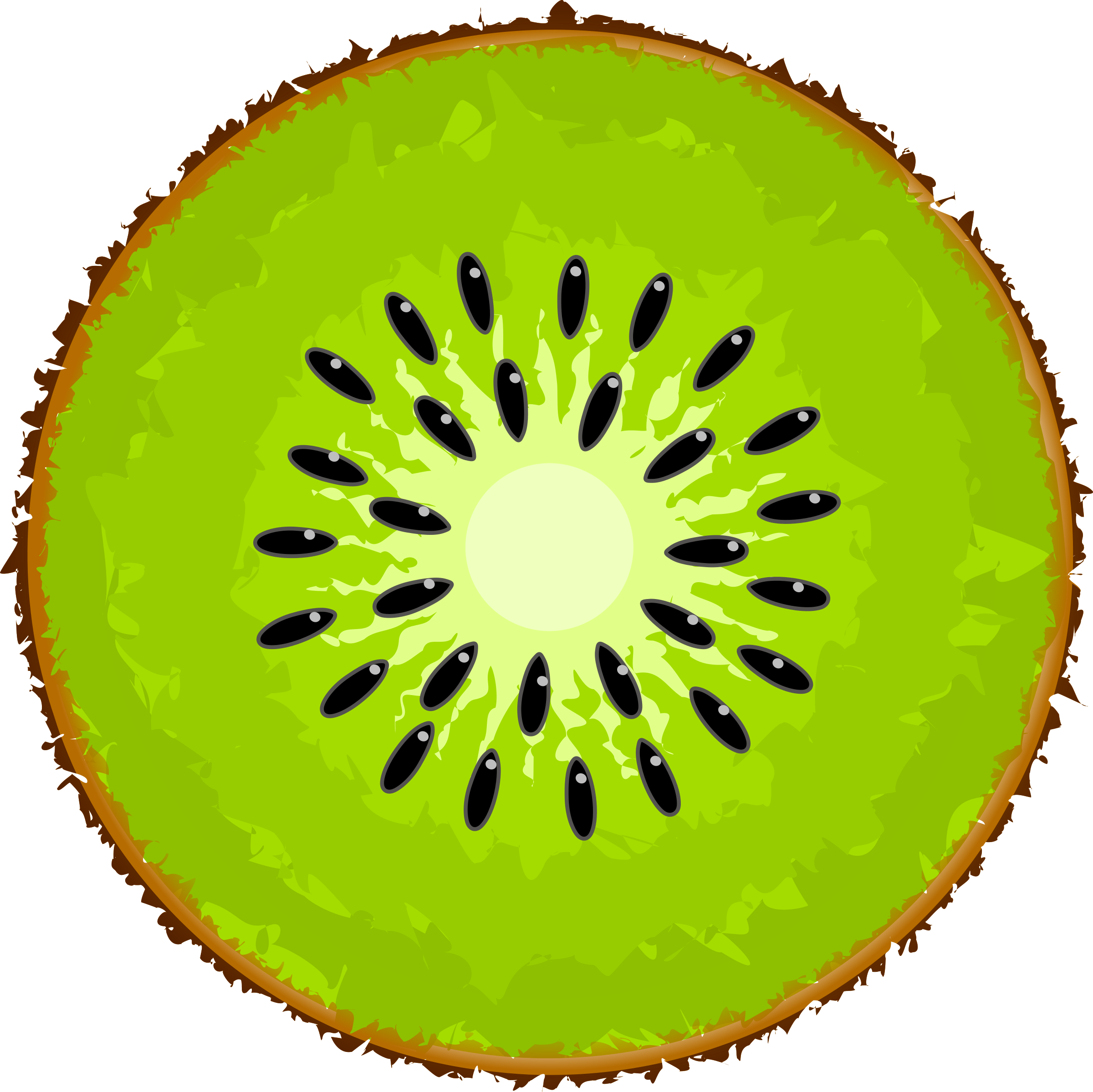 Free Kiwi Cliparts, Download Free Clip Art, Free Clip Art on.